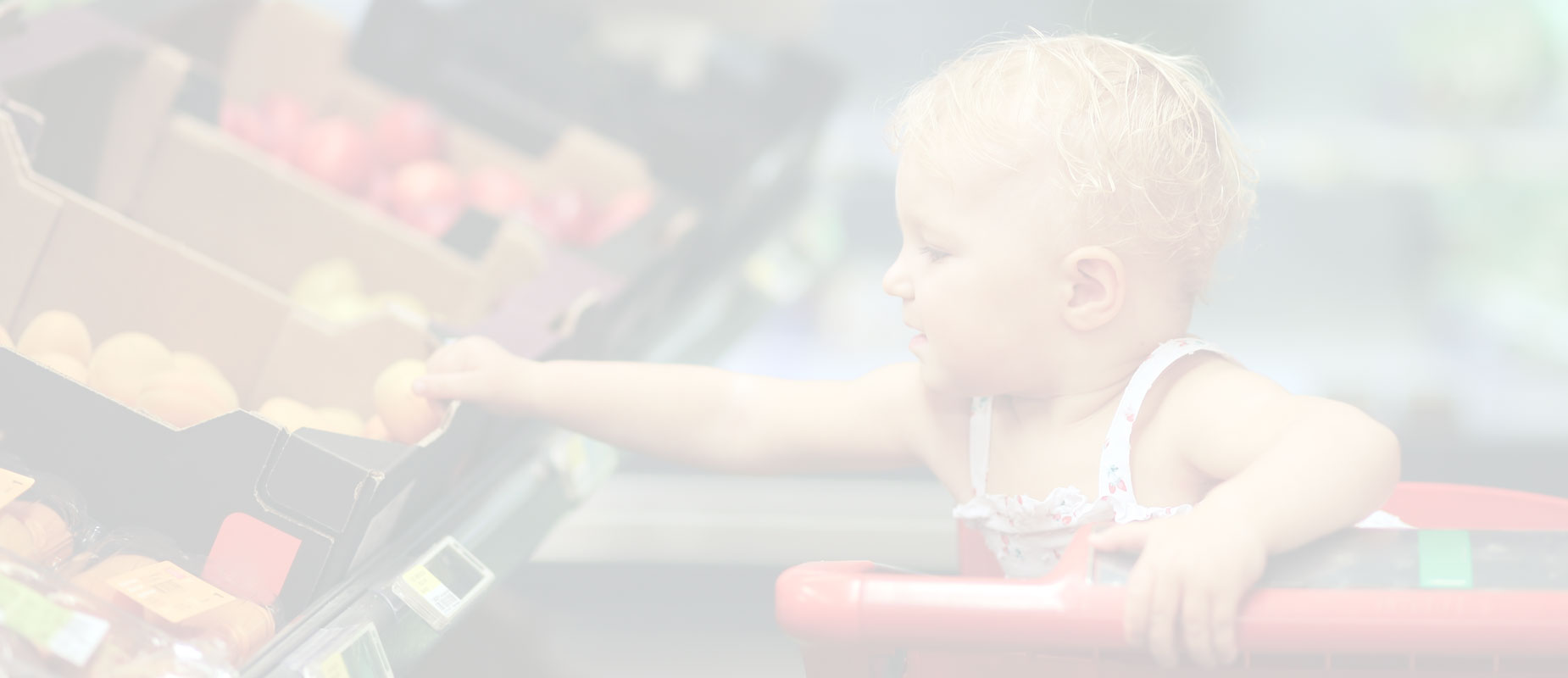 How to use this guide